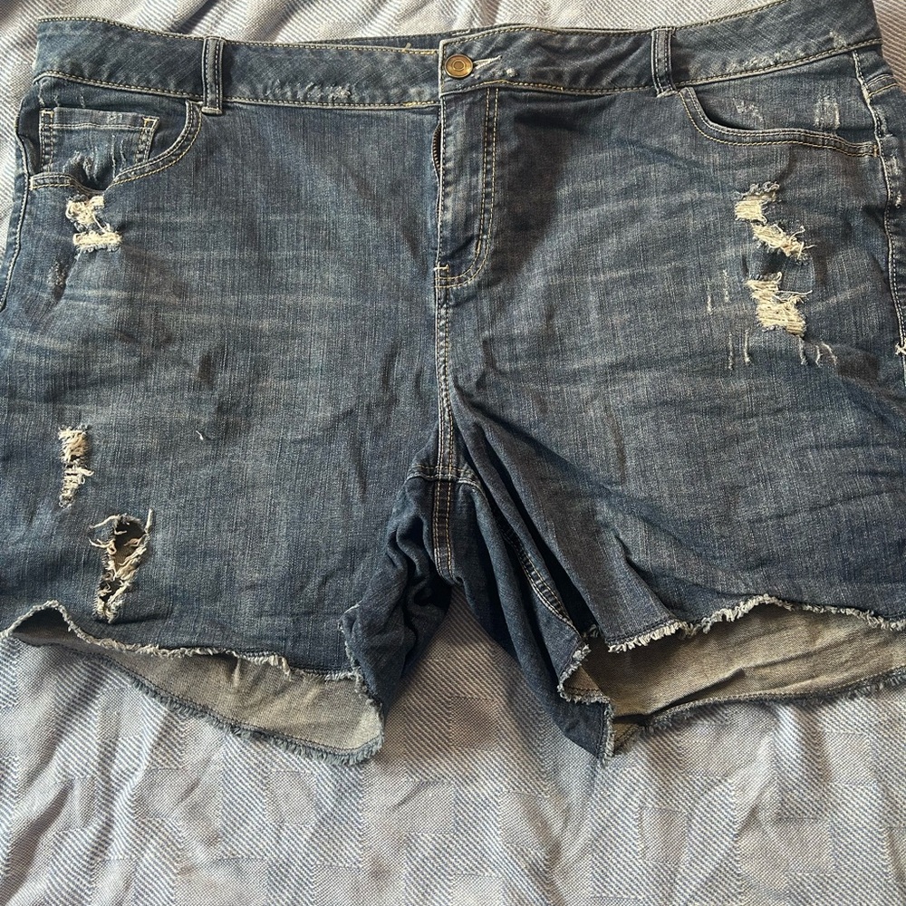 Lane Bryant distressed denim shorts